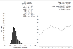 Aingeal Ridge Pandora_2020 Histogram.PNG