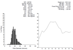 Aingeal Ridge Picasso_2020 Histogram.PNG