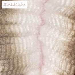 Sintilation_Fleece 2.jpg